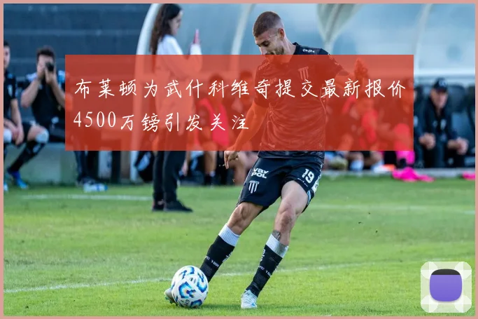 布莱顿为武什科维奇提交最新报价4500万镑引发关注